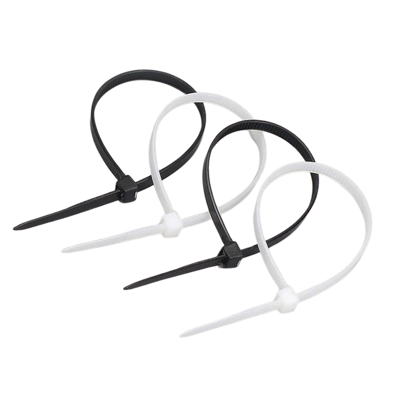 Rilsan (lot de 100)